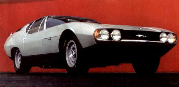 Jaguar Pirana - zdjęcie 2 Jaguar Pirana - zdjęcie 2