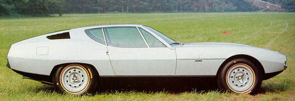 Jaguar Pirana - zdjęcie 4 Jaguar Pirana - zdjęcie 4