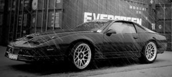 Polly Trans Am Polly Trans Am