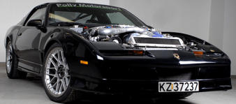 Polly Trans Am Polly Trans Am