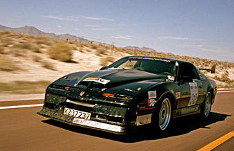 Polly Trans Am Polly Trans Am