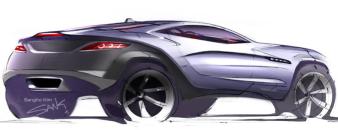 LM Rally Fighter